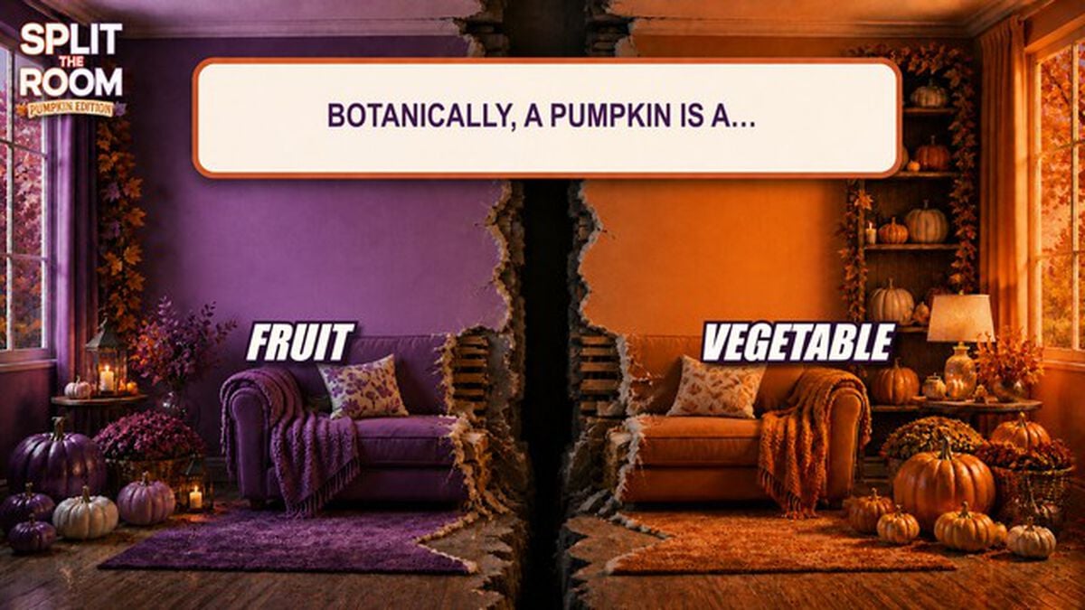 Split the Room - Pumpkin Edition image number null